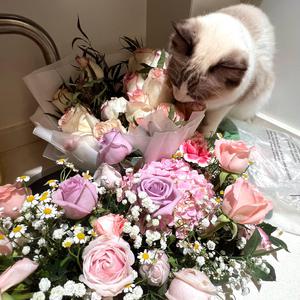 美国又大又粗性交片
